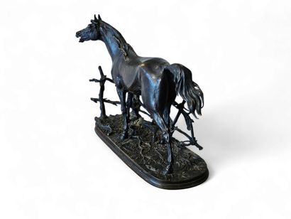 Pierre-Jules MENE | 1810-1879 Djinn, cheval...