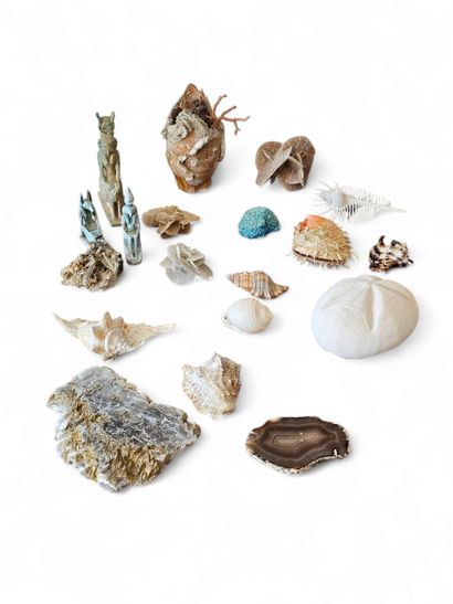 TRAVEL SOUVENIRS
Shells
Sand roses
Agate...