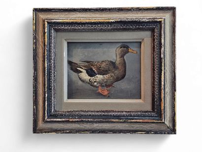 French WORK XIX th century 
