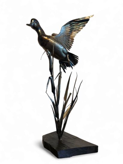 PIERRE AJACQUES ( XX-XXI) 
Duck in flight,...