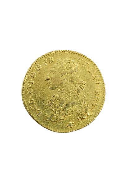 DOUBLE LOUIS gold with dressed bust 1776/D
Weight...