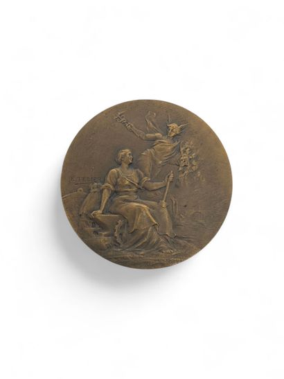 Bronze MEDAL offered by the Remington Company,...
