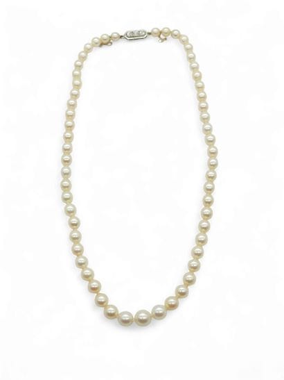 COLLIER de 57 perles de culture en chute,...