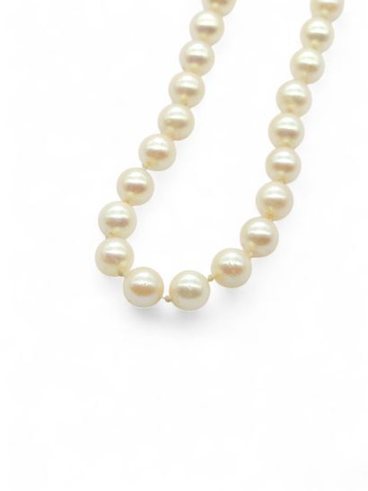 NECKLACE with chocker cultured pearls, ratchet...