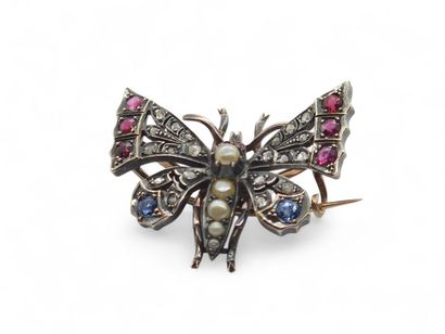 19th century WORK 
Butterfly brooch in 750°...