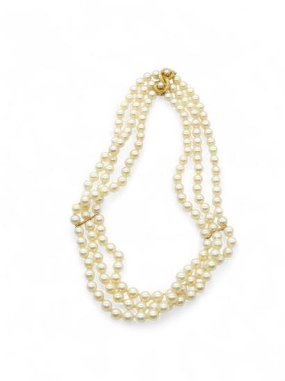 COLLIER de chien orné de trois rangs de 162...