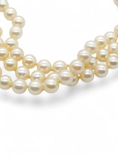 COLLIER de chien orné de trois rangs de 162...