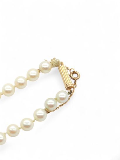 NECKLACE with chocker cultured pearls, ratchet...
