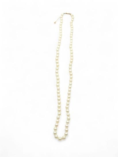 COLLIER de perles de culture choker, fermoir...