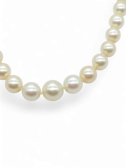 COLLIER de 57 perles de culture en chute,...