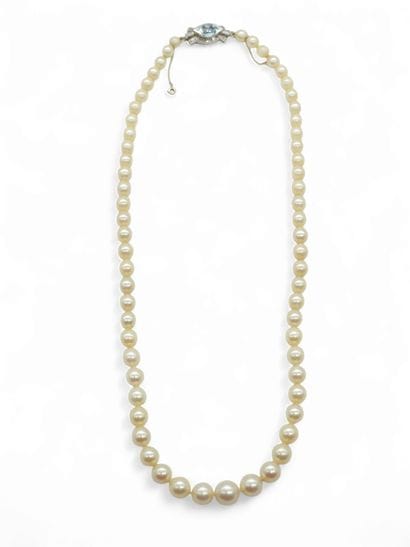 COLLIER DE 63 PERLES DE CULTURE en chute,...