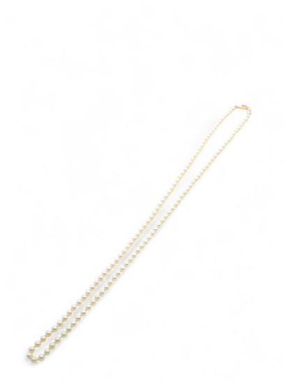 NECKLACE with chocker cultured pearls, ratchet...