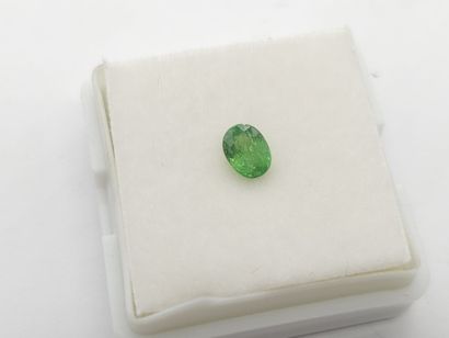 GRENAT tsavorite green , oval , Tanzania...