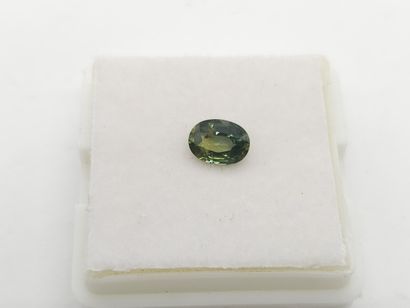SAPPHIRE bluish green , oval , Australia...