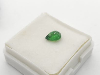 GRENAT tsavorite forest green , poire , Tanzanie...