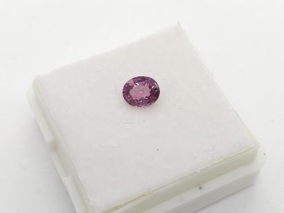 GRENAT purple Malaya VS , oval , Tanzania...