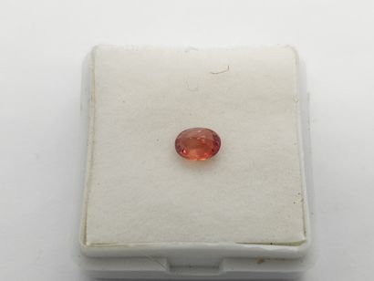 SAPHIR pinkish orange Songea VVS , oval ,...