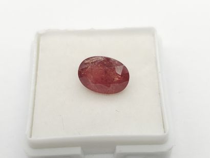 SAPHIR orangy pink , oval , Mozambique ,...
