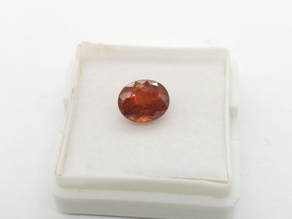 GRENAT orange spessartite , oval , Namibia...