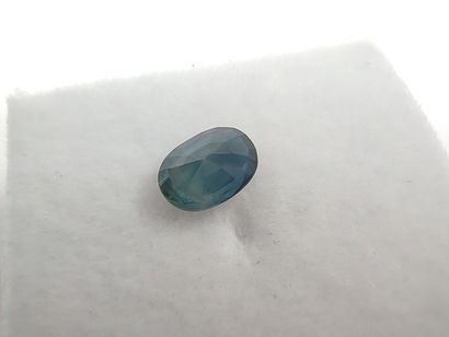 SAPHIR greenish blue Australie ovale
Dim...