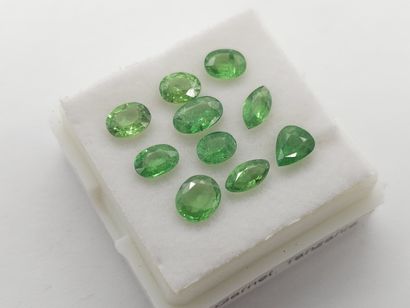 GRENAT tsavorite green Nbr 10 , oval , Tanzania...