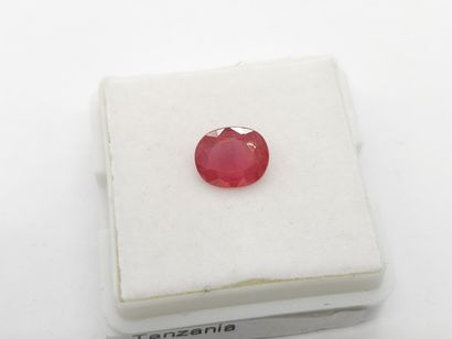 SAPHIR Pinkish orange , oval , Songea Tanzanie...