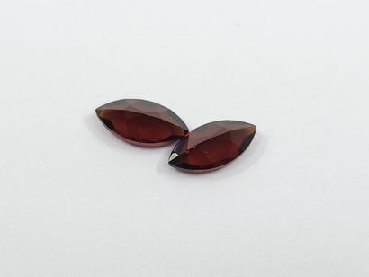 GRENAT orangish red spessartite VS Nbr 2...