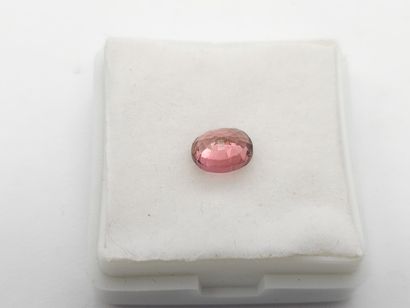 TOURMALINE pink VS , oval , Mozambique ,...