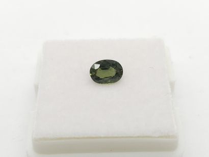 SAPPHIRE green , oval , Australia , 0,78...