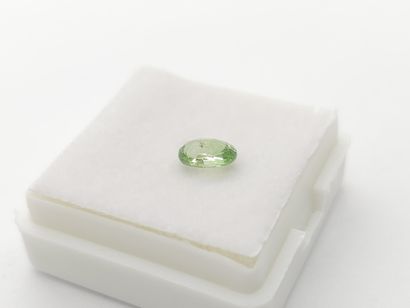 GRENAT tsavorite green , oval , Tanzania...