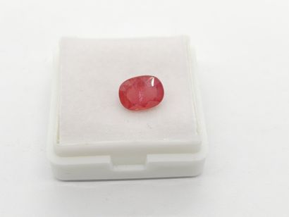 SAPHIR Purplish pink , oval , Mozambique...
