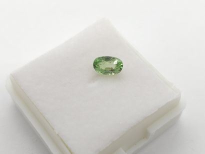GRENAT tsavorite green , oval , Tanzania...