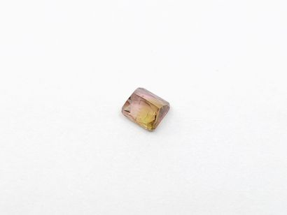 TOURMALINE green and pink , emerald , Mozambique...