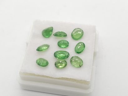 GRENAT tsavorite green Nbr 10 , oval , Tanzania...