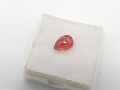 SAPHIR reddish orange , Pear , Mozambique...