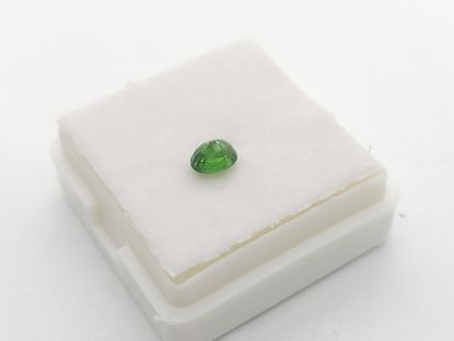 GRENAT tsavorite shamrock green , oval ,...
