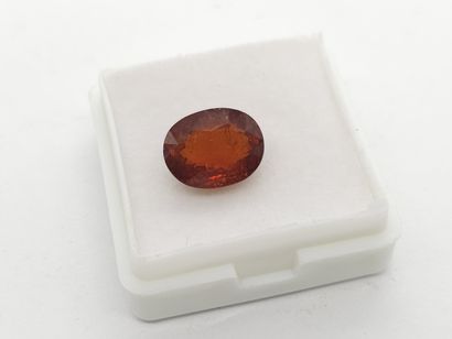 GRENAT orange spessartite , oval , Namibia...