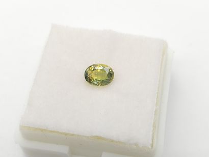 SAPHIR greenish yellow , oval , Australia...