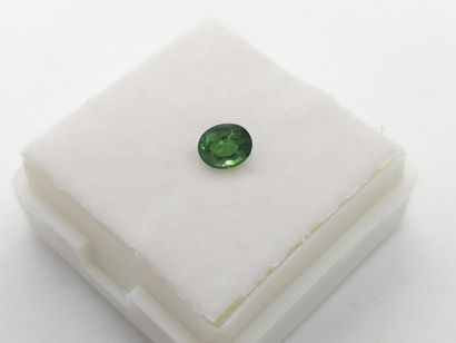 GRENAT tsavorite shamrock green , oval ,...