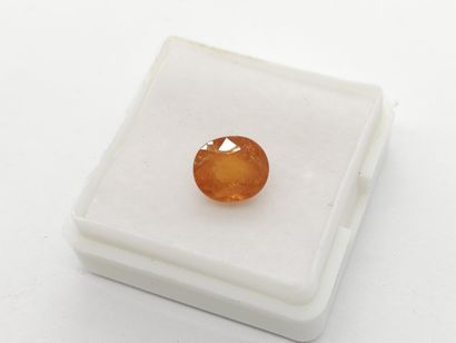 GRENAT orange spessartite , oval , Namibia...