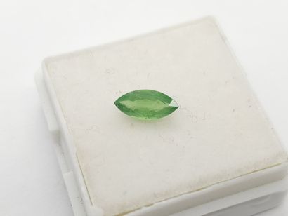 GRENAT tsavorite green , marquise , Tanzanie...