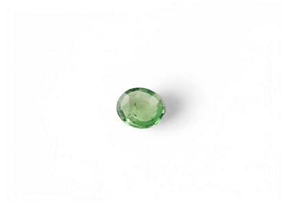 Oval tsavorite green, Tanzania, 0.32 carat
Dim...