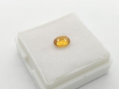 SAPHIR yellow , ovale , Madagascar , 1,10...
