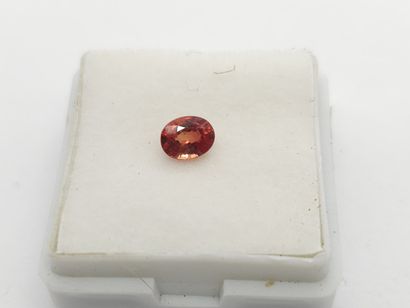 SAPHIR pinkish orange Songea VVS , oval ,...