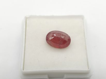 SAPHIR orangy pink , oval , Mozambique ,...