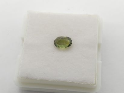 SAPHIR Green VS , Oval , Australia , 0,88...