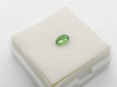 GRENAT tsavorite green , oval , Tanzania...