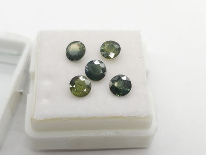 SAPHIR Multi-color x5 , Round , Australia...