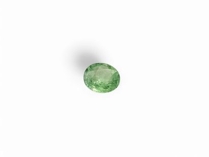 Oval tsavorite green, Tanzania ,0.41 carat
Dim...