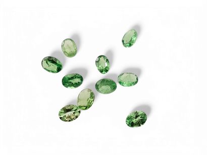 TEN Oval tsavorite green GRENATS, Tanzania,...